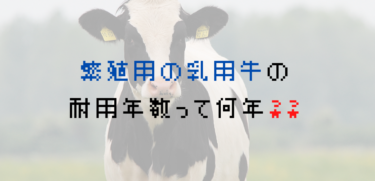 繁殖用の乳用牛の勘定科目と法定耐用年数って何？？